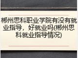 郴州思科职业学院有没有就业指导，好就业吗(郴州思科就业指导情况)