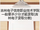 吉林电子信息职业技术学院一般要多少分才能录取(吉林电子录取分数)
