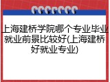 上海建桥学院哪个专业毕业就业前景比较好(上海建桥好就业专业)