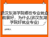 武汉东湖学院哪些专业就业前景好，为什么(武汉东湖学院好就业专业)
