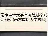 南京审计大学官网是哪个网址多少(南京审计大学官网)