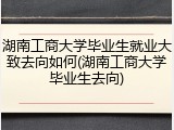 湖南工商大学毕业生就业大致去向如何(湖南工商大学毕业生去向)