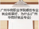 广州华商职业学院哪些专业就业前景好，为什么(广州华商好就业专业)