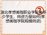 湖北孝感美珈职业学院有多少学生，师资力量如何(孝感美珈学院规模师资)