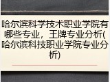 哈尔滨科学技术职业学院有哪些专业，王牌专业分析(哈尔滨科技职业学院专业分析)