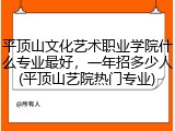 平顶山文化艺术职业学院什么专业最好，一年招多少人(平顶山艺院热门专业)