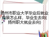 扬州市职业大学毕业后就业前景怎么样，毕业生去向(扬州职大就业去向)