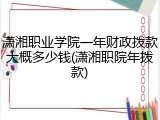 潇湘职业学院一年财政拨款大概多少钱(潇湘职院年拨款)