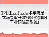 邵阳工业职业技术学院是一本吗录取分数线多少(邵阳工业职院录取线)