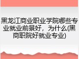 黑龙江商业职业学院哪些专业就业前景好，为什么(黑商职院好就业专业)