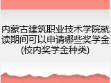 内蒙古建筑职业技术学院就读期间可以申请哪些奖学金(校内奖学金种类)
