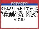 桂林信息工程职业学院什么专业就业比较好，原因是啥(桂林信息工程职业学院优势专业)