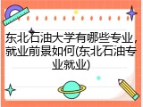 东北石油大学有哪些专业，就业前景如何(东北石油专业就业)