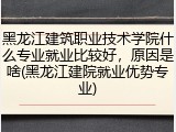 黑龙江建筑职业技术学院什么专业就业比较好，原因是啥(黑龙江建院就业优势专业)