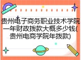 贵州电子商务职业技术学院一年财政拨款大概多少钱(贵州电商学院年拨款)