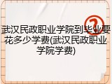 武汉民政职业学院到毕业要花多少学费(武汉民政职业学院学费)