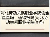 河北劳动关系职业学院含金量量吗，值得报吗(河北劳动关系职业学院值吗)