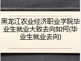 黑龙江农业经济职业学院毕业生就业大致去向如何(毕业生就业去向)