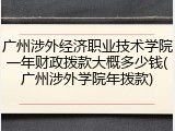 广州涉外经济职业技术学院一年财政拨款大概多少钱(广州涉外学院年拨款)