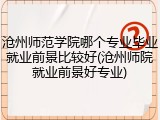 沧州师范学院哪个专业毕业就业前景比较好(沧州师院就业前景好专业)