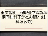 重庆智能工程职业学院就读期间挂科了怎么办呢？(挂科怎么办)