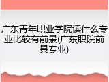 广东青年职业学院读什么专业比较有前景(广东职院前景专业)