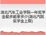 湖北汽车工业学院一年奖学金最多能拿多少(湖北汽院奖学金上限)