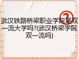 武汉铁路桥梁职业学院是双一流大学吗?(武汉桥梁学院双一流吗)