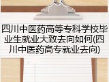 四川中医药高等专科学校毕业生就业大致去向如何(四川中医药高专就业去向)