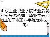 山东工业职业学院毕业后就业前景怎么样，毕业生去向(山东工业职业学院就业去向)