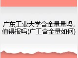 广东工业大学含金量量吗，值得报吗(广工含金量如何)