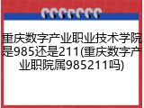重庆数字产业职业技术学院是985还是211(重庆数字产业职院属985211吗)