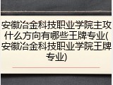 安徽冶金科技职业学院主攻什么方向有哪些王牌专业(安徽冶金科技职业学院王牌专业)