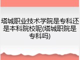 塔城职业技术学院是专科还是本科院校呢(塔城职院是专科吗)