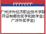 广州涉外经济职业技术学院开设有哪些奖学和助学金(广涉外奖学金)