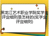 黑龙江艺术职业学院奖学金评定细则是怎样的(奖学金评定细则)