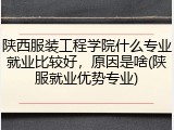 陕西服装工程学院什么专业就业比较好，原因是啥(陕服就业优势专业)