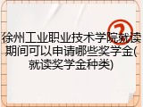 徐州工业职业技术学院就读期间可以申请哪些奖学金(就读奖学金种类)