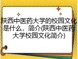 陕西中医药大学的校园文化是什么，简介(陕西中医药大学校园文化简介)