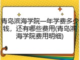 青岛滨海学院一年学费多少钱，还有哪些费用(青岛滨海学院费用明细)
