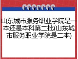 山东城市服务职业学院是一本还是本科第二批(山东城市服务职业学院是二本)