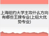 上海纽约大学主攻什么方向有哪些王牌专业(上纽大优势专业)