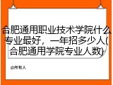 合肥通用职业技术学院什么专业最好，一年招多少人(合肥通用学院专业人数)