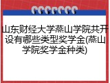 山东财经大学燕山学院共开设有哪些类型奖学金(燕山学院奖学金种类)