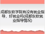 成都东软学院有没有就业指导，好就业吗(成都东软就业指导情况)