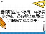 盘锦职业技术学院一年学费多少钱，还有哪些费用(盘锦职院学费及费用)
