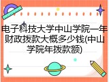 电子科技大学中山学院一年财政拨款大概多少钱(中山学院年拨款额)