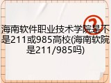 海南软件职业技术学院是不是211或985高校(海南软院是211/985吗)