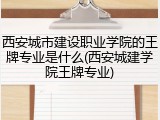 西安城市建设职业学院的王牌专业是什么(西安城建学院王牌专业)