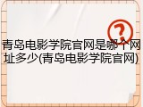 青岛电影学院官网是哪个网址多少(青岛电影学院官网)